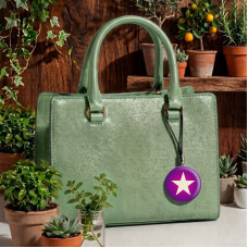 Charm-Star Charm-Star