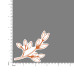 Illustrations - Flower-V1