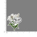 Illustrations - Lily-V1