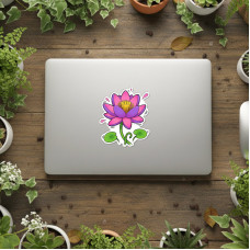 Illustrations - Lotus