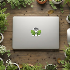 Illustrations - Mint-V2