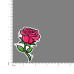 Illustrations - Rose-V1