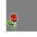 Illustrations - Rose-V5